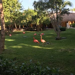 Meet your Posher, Renee